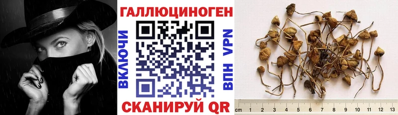 Псилоцибиновые грибы MAGIC MUSHROOMS  Гаджиево 